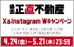 映画 「正直不動産」X&Instagram Wキャンペーン